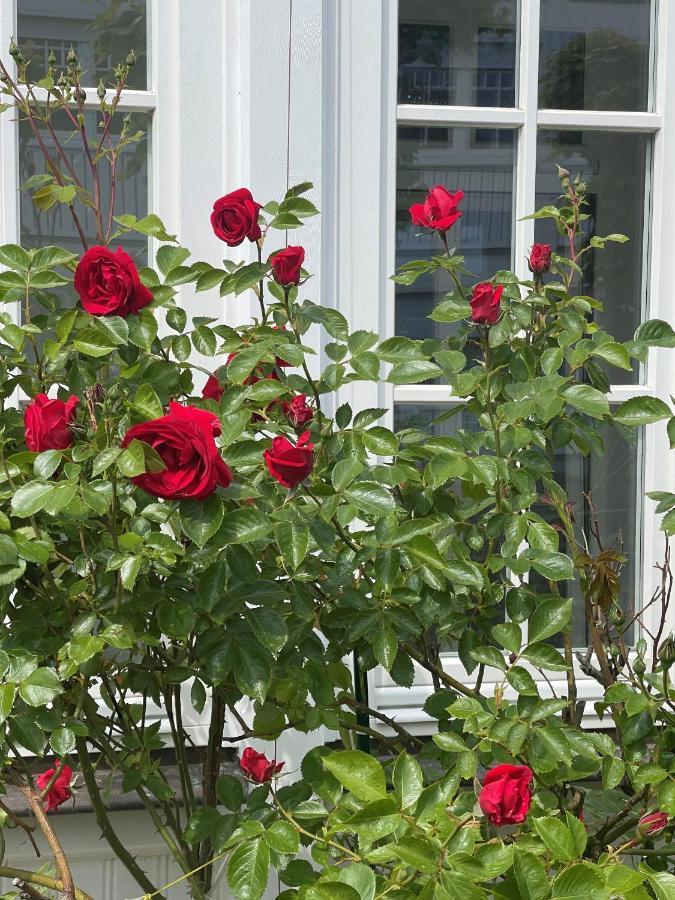 Villa Waldrose Binz Dış mekan fotoğraf