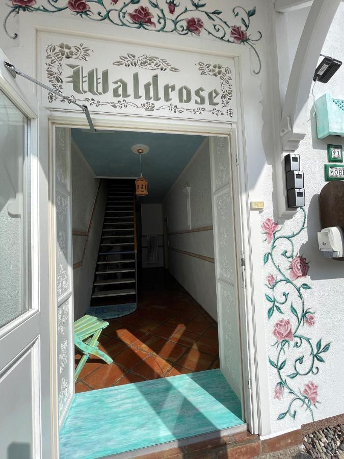 Villa Waldrose Binz Dış mekan fotoğraf